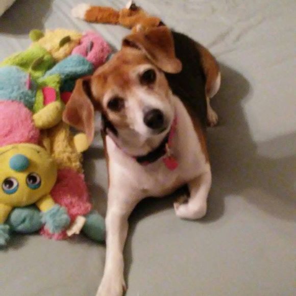 Meet your Posher, Suzanne - Picture 1 of 1